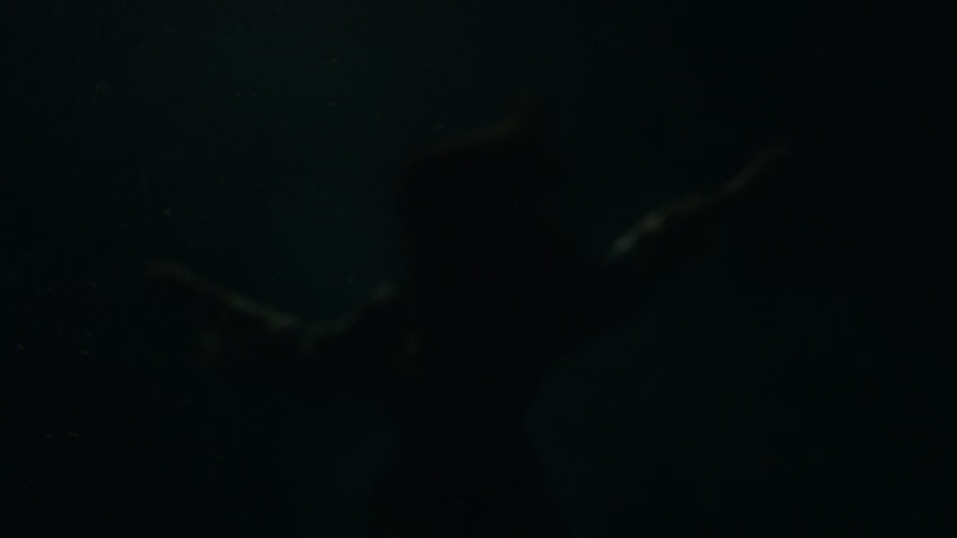 dracula002_0845.jpg