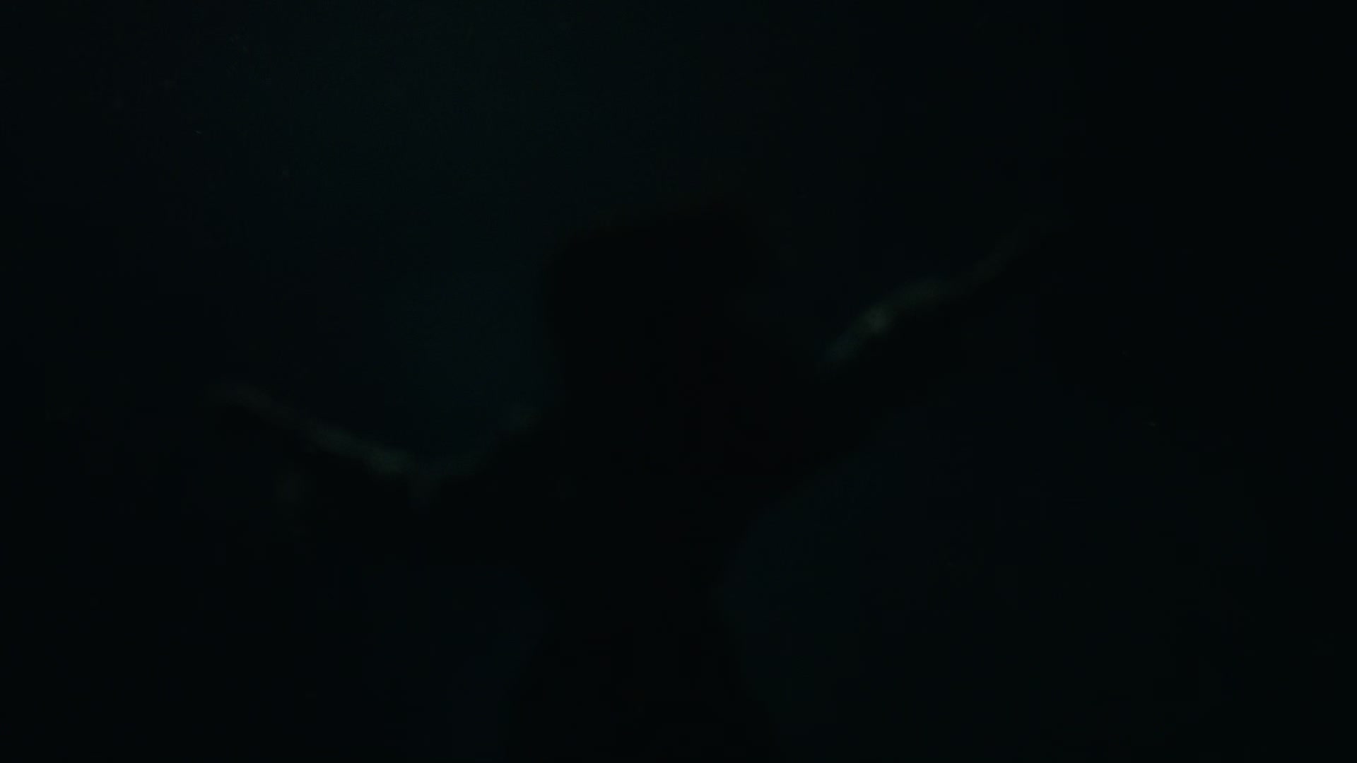 dracula002_0846.jpg