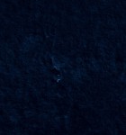 dracula003_0582.jpg